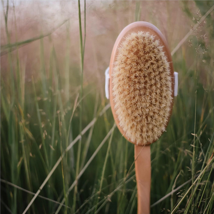 Croll & Denecke Long Handle Oval Body Brush